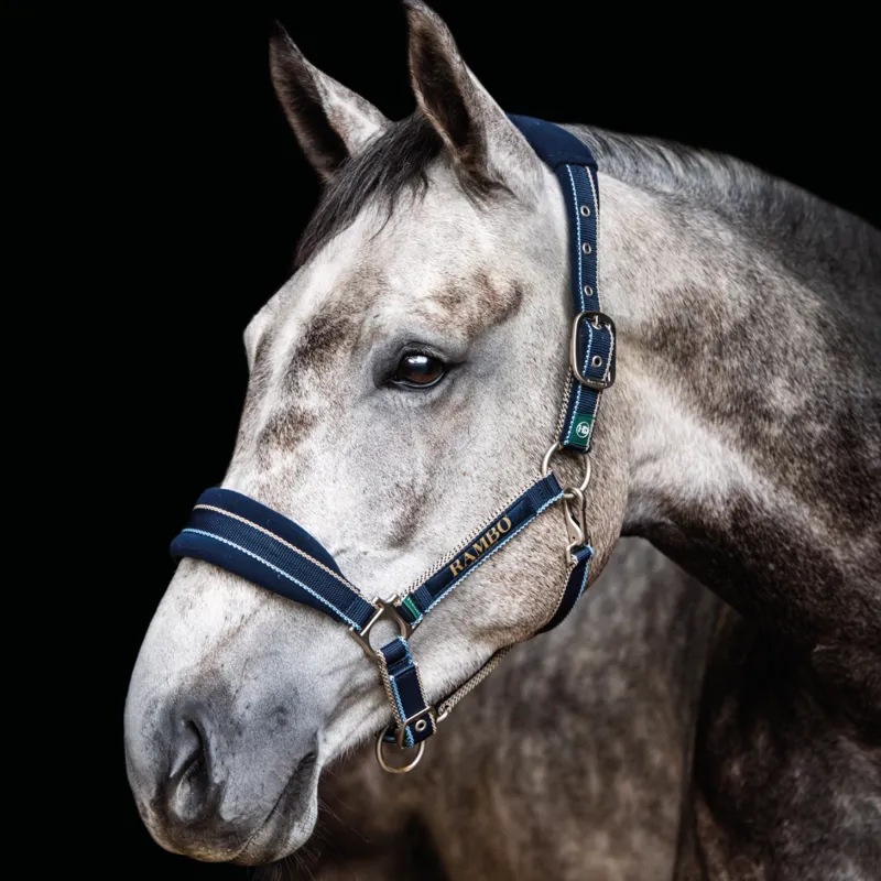Horseware Rambo Padded Headcollar - Whitney Navy